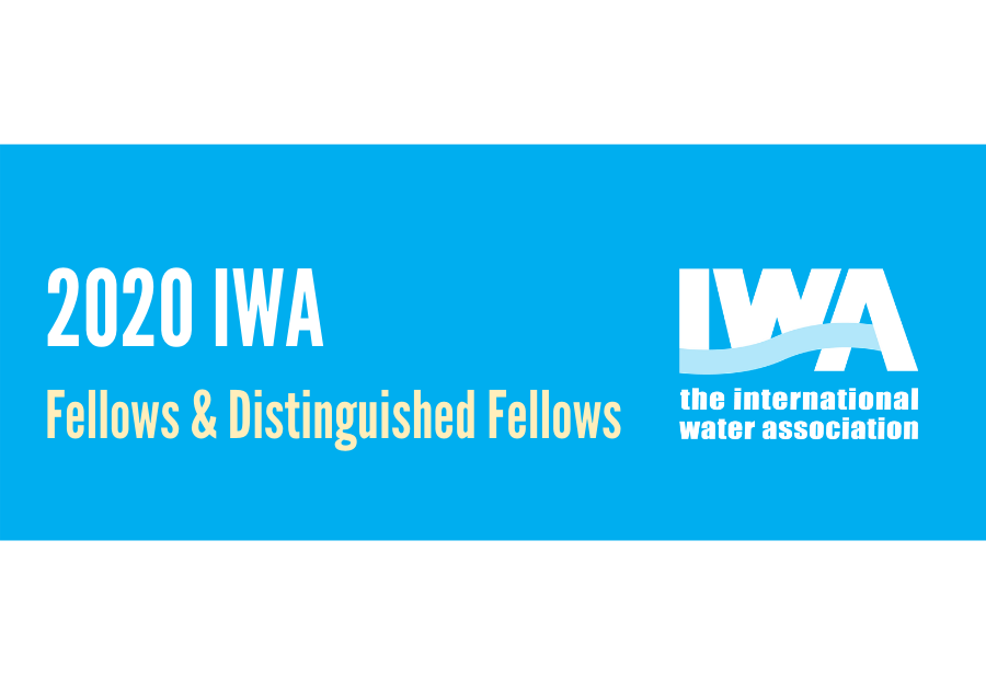 IWA Announces 2020 Fellows and Distinguished Fellows